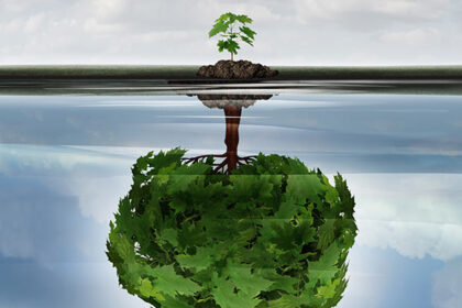Environmental awareness tree