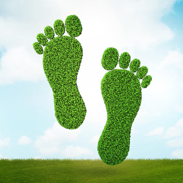 Carbon Footprints