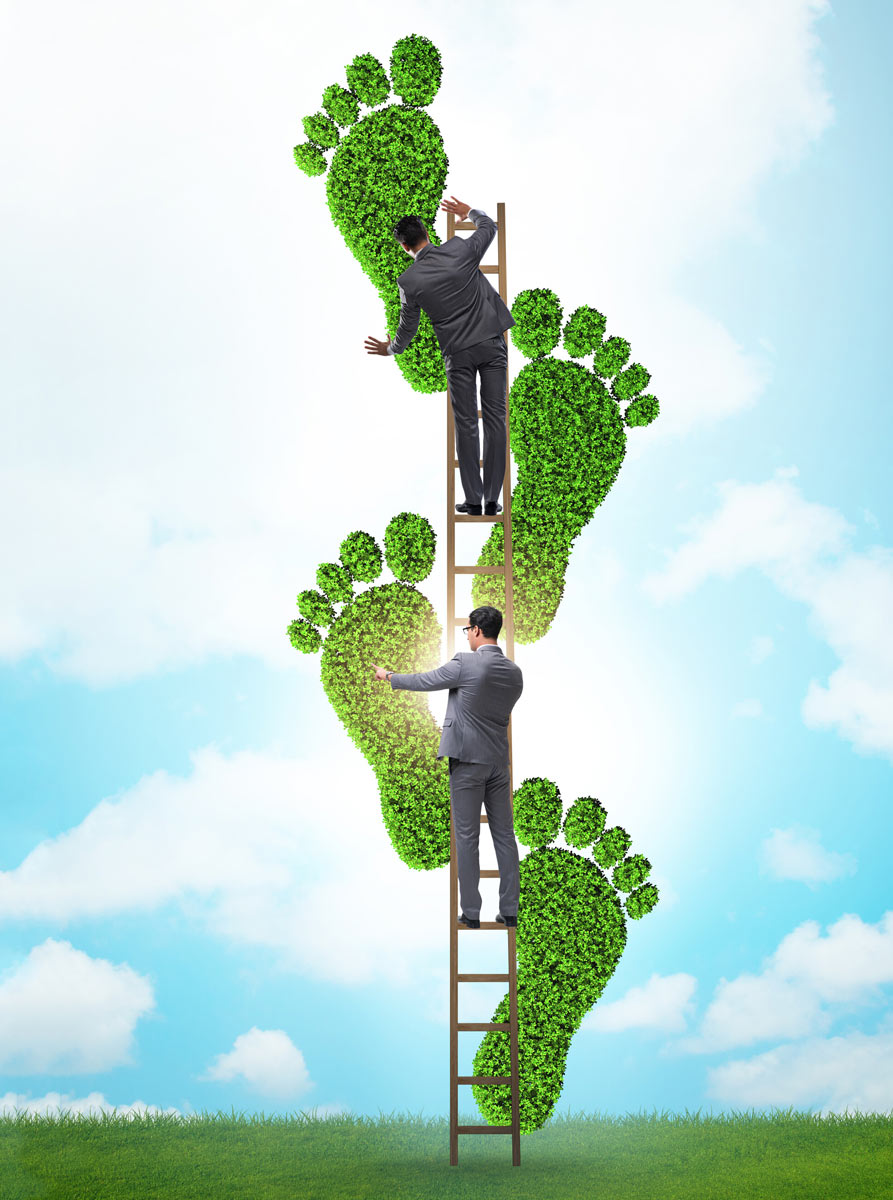 Carbon footprint